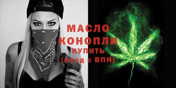индика Корсаков