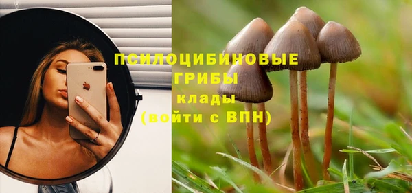 каннабис Коряжма