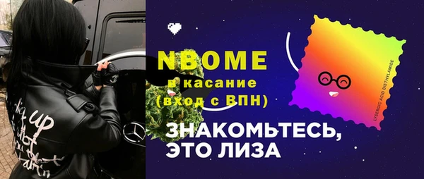 индика Корсаков