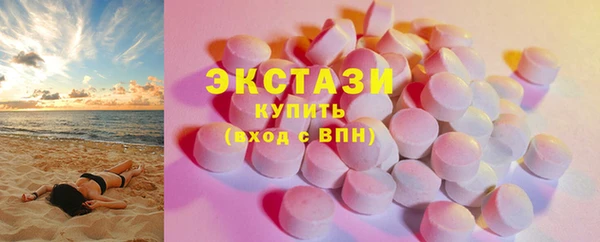 индика Корсаков