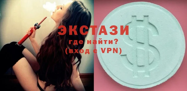 гидра Костерёво