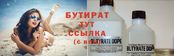 индика Корсаков