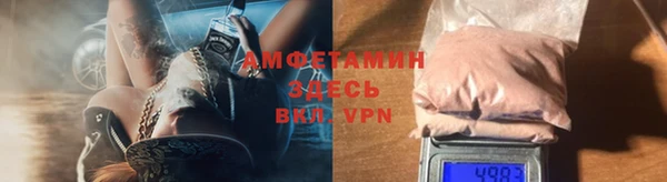 индика Корсаков
