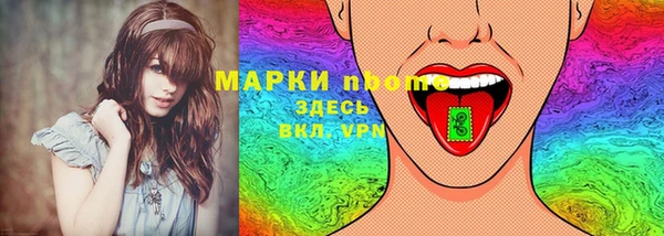 индика Корсаков