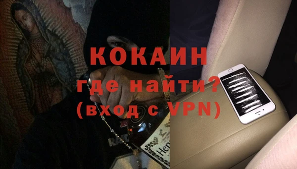 индика Корсаков