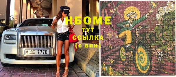 индика Корсаков