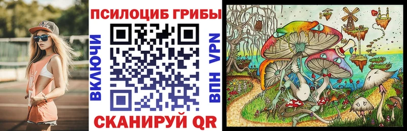 закладка  kraken как войти  Псилоцибиновые грибы Psilocybe  Мелеуз 